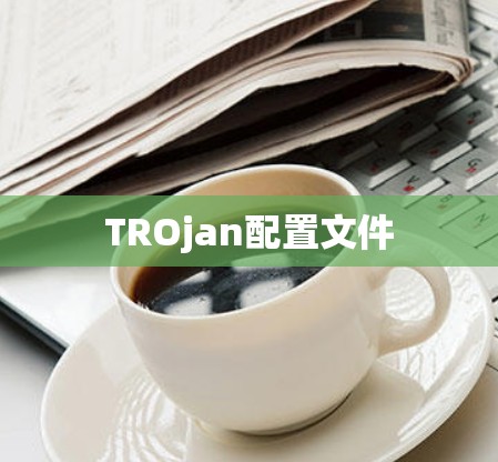 TROjan配置文件