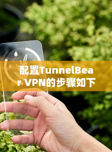 配置TunnelBear VPN的步骤如下