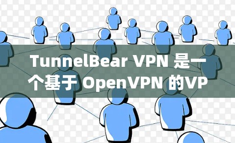 TunnelBear VPN 是一个基于 OpenVPN 的VPN工具，其版本主要分为以下几个类别