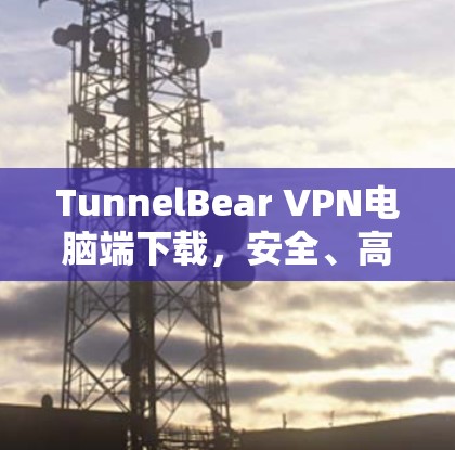 TunnelBear VPN电脑端下载，安全、高效、便捷的VPN解决方案
