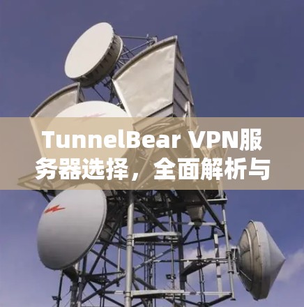 TunnelBear VPN服务器选择，全面解析与推荐