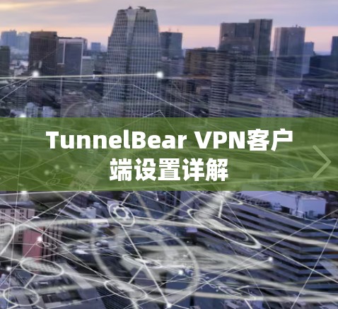TunnelBear VPN客户端设置详解
