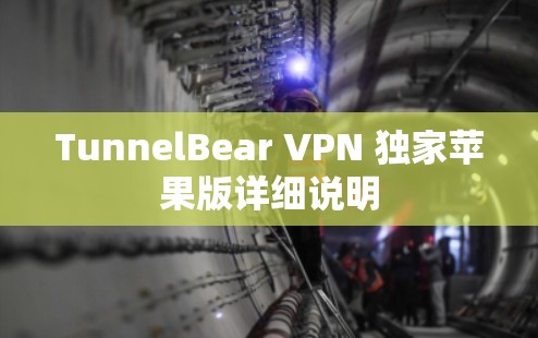 TunnelBear VPN 独家苹果版详细说明