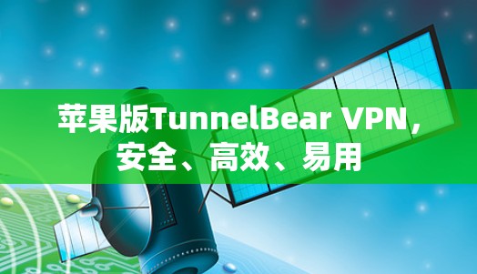 苹果版TunnelBear VPN，安全、高效、易用
