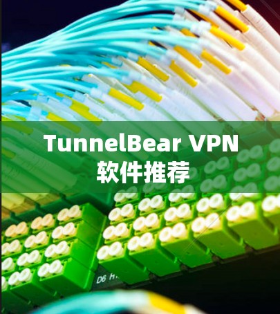 TunnelBear VPN 软件推荐