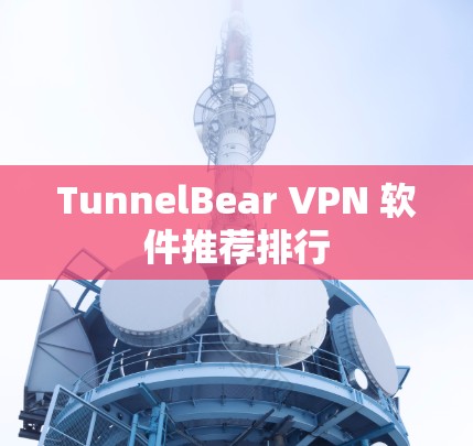 TunnelBear VPN 软件推荐排行
