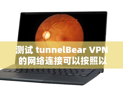 测试 tunnelBear VPN 的网络连接可以按照以下步骤进行