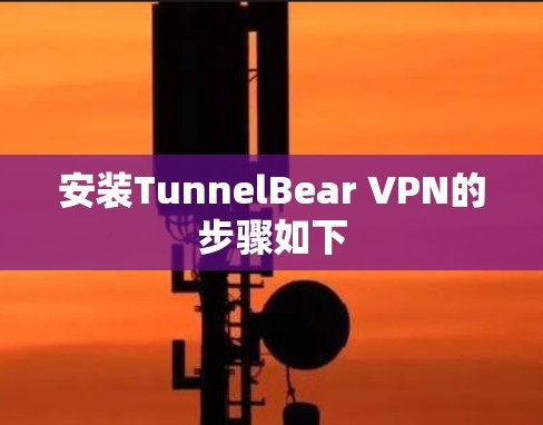 安装TunnelBear VPN的步骤如下 安装TunnelBear VPN的步骤如下