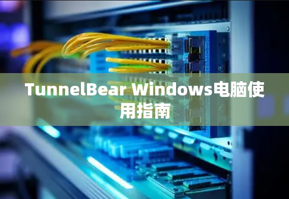 TunnelBear Windows电脑使用指南