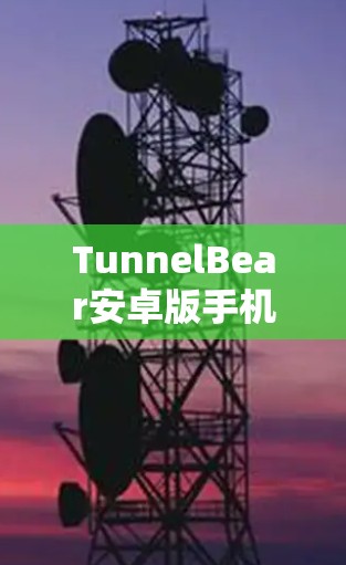 TunnelBear安卓版手机VPN教程