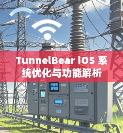 TunnelBear iOS 系统优化与功能解析