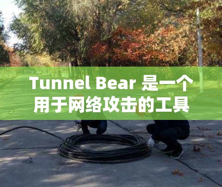 Tunnel Bear 是一个用于网络攻击的工具,主要支持包分发和包篡改攻击,适用于网络犯罪和网络攻击。以下是其基本使用方法的详细步骤 Tunnel Bear 是一个用于网络攻击的工具,主要支持包分发和包篡改攻击,适用于网络犯罪和网络攻击。以下是其基本使用方法的详细步骤