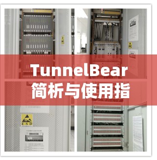 TunnelBear 简析与使用指南