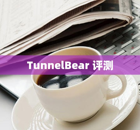 TunnelBear 评测