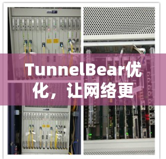 TunnelBear优化，让网络更高效，助力通信工程师的未来