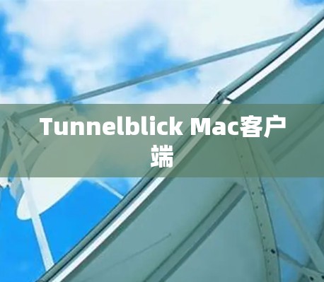 Tunnelblick Mac客户端