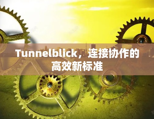 Tunnelblick，连接协作的高效新标准