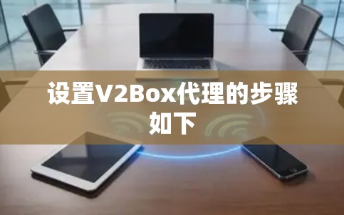 设置V2Box代理的步骤如下
