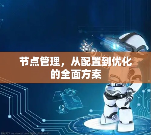 节点管理,从配置到优化的全面方案 节点管理,从配置到优化的全面方案