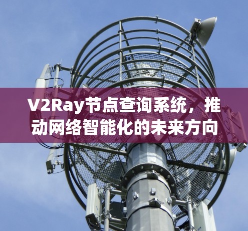 V2Ray节点查询系统,推动网络智能化的未来方向 V2Ray节点查询系统,推动网络智能化的未来方向