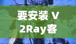 要安装 V2Ray客户端,您可以按照以下步骤进行 要安装 V2Ray客户端,您可以按照以下步骤进行