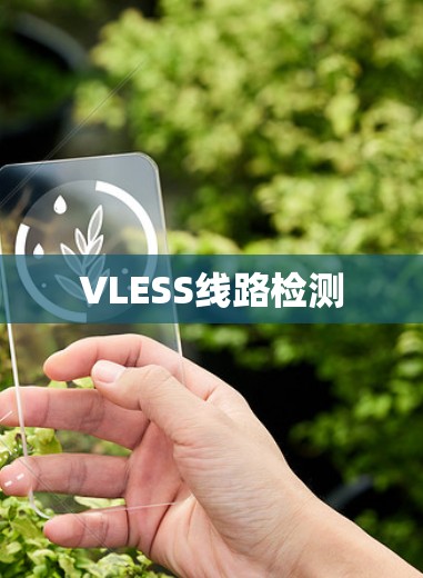 VLESS线路检测