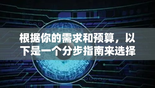 根据你的需求和预算，以下是一个分步指南来选择和使用VPN客户端