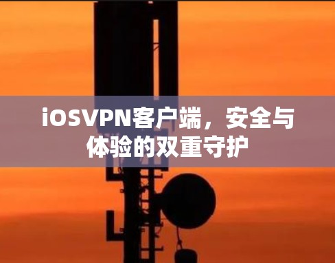 iOSVPN客户端,安全与体验的双重守护 iOSVPN客户端,安全与体验的双重守护