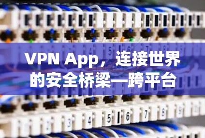 VPN App，连接世界的安全桥梁—跨平台版的解决方案