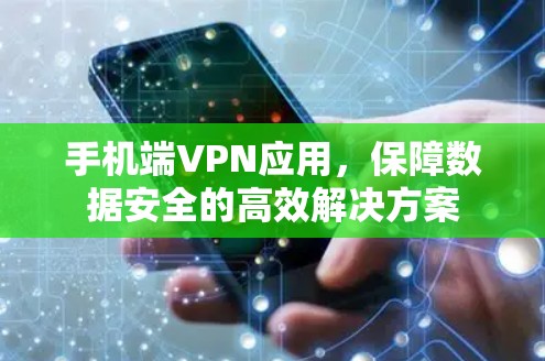 手机端VPN应用,保障数据安全的高效解决方案 手机端VPN应用,保障数据安全的高效解决方案