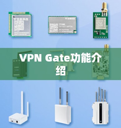 VPN Gate功能介绍